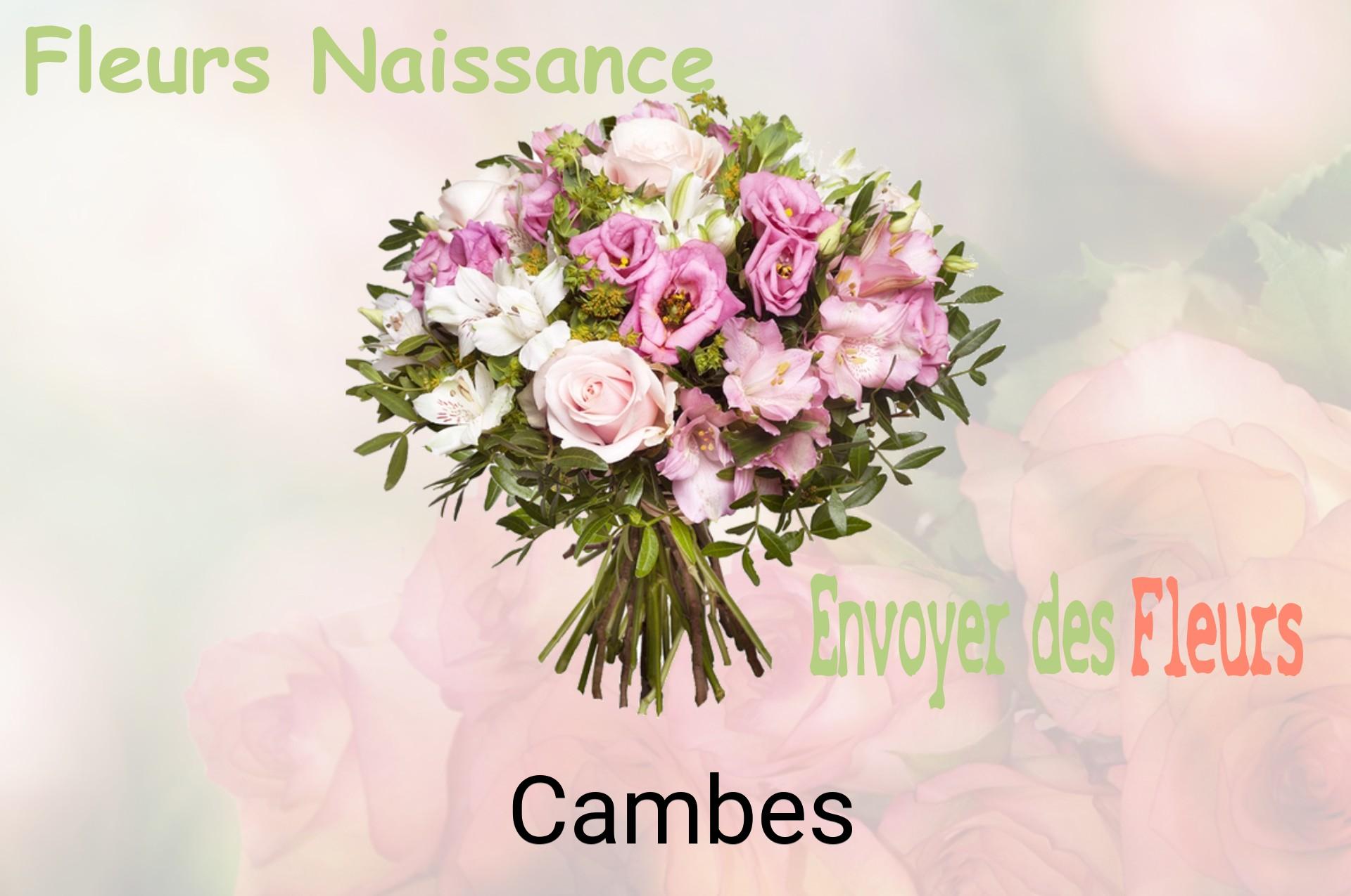 Bouquet de fleurs de naissance livré à Cambes
